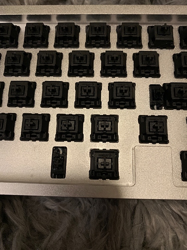 20200202_022533130_iOS