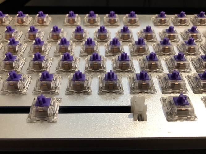 A field of Zealios