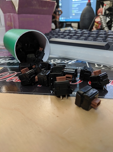 MVIMG_20191006_144258