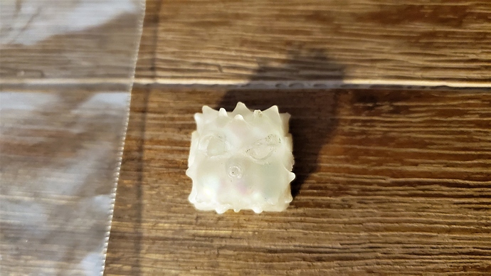 busted%20fugu1