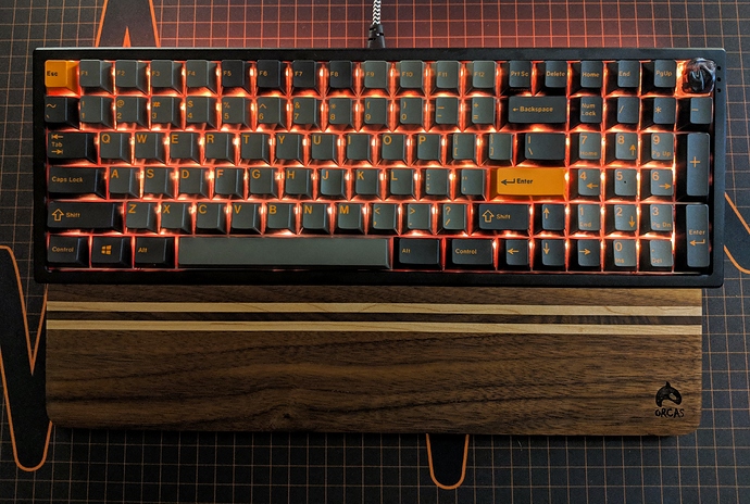 MVIMG_20190209_143308