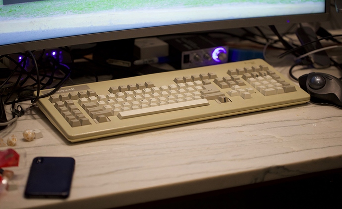 _R5A6673