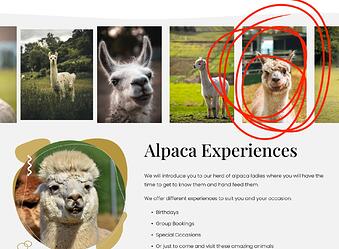 Screenshot 2025-10-14 at 13.55.41