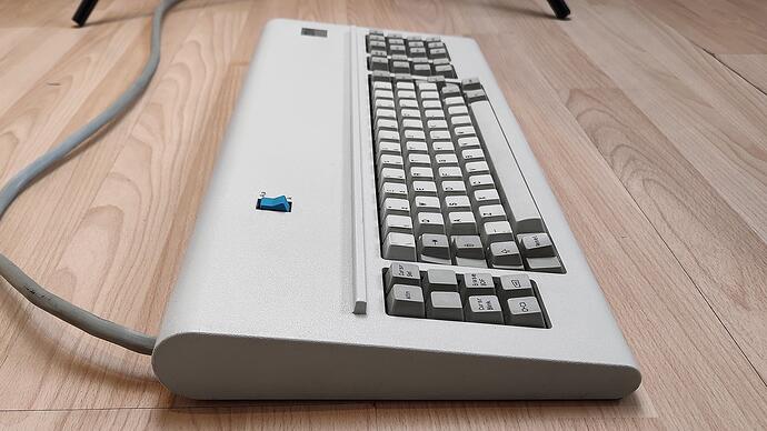 shark_4742704_ibm_left