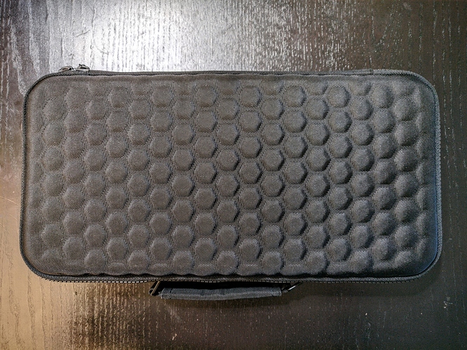 IMG_20200804_150559_Pit7.4