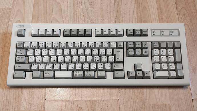 IMG_20221103_124549805