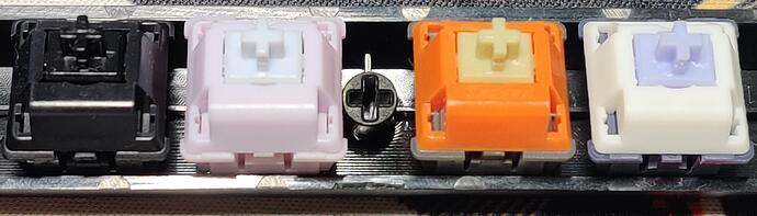 IMG_20221018_203643