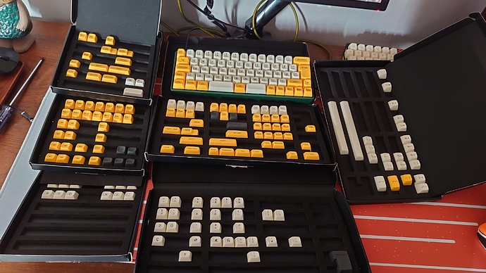 20201031_12462618296977233648824