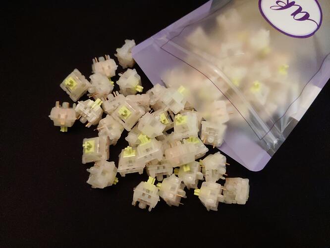 PXL_20230906_082558821