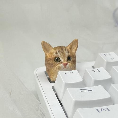 Artisan Keycaps for Cats and Dogs Customize your artisan keycaps (17)