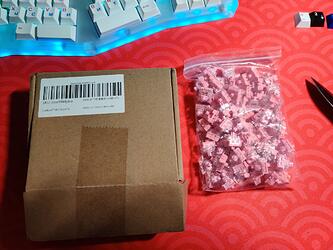 photo_2023-10-28_15-40-51 (2)