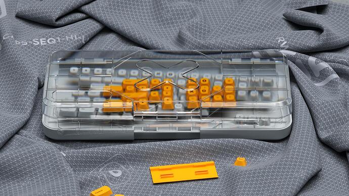 RW_CAPS_CASE_0