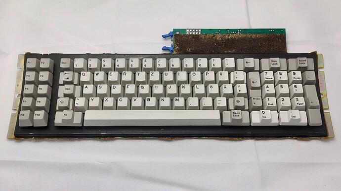 shark_1501102_ibm_assembly_top