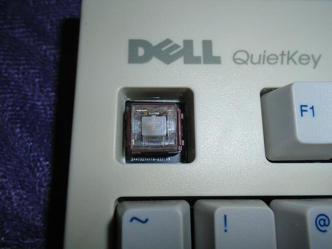 dell1