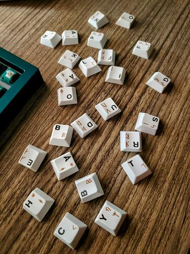 IMG_20221128_170406321~2