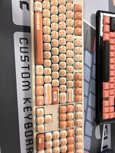 4daf4556-e97f-4510-bf37-ec6b264d5c09