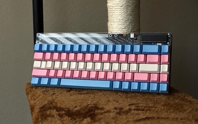 trans pride 65
