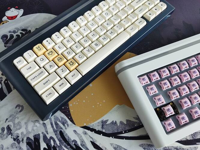 moeetech-glitter65-two-builds