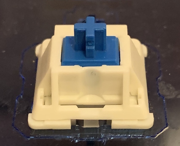 Blueberry stem in Invyr POM housing