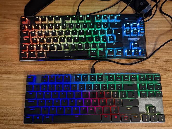 RoccatandCM
