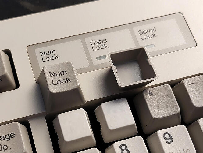 IMG_20221103_125138447