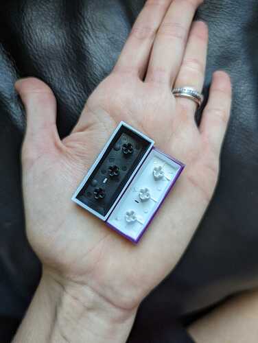 PXL_20220829_181731013