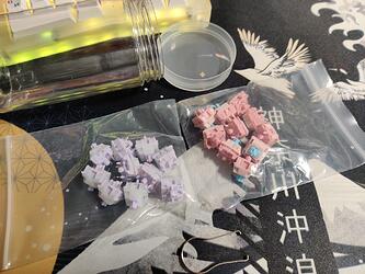IMG_20240127_114448