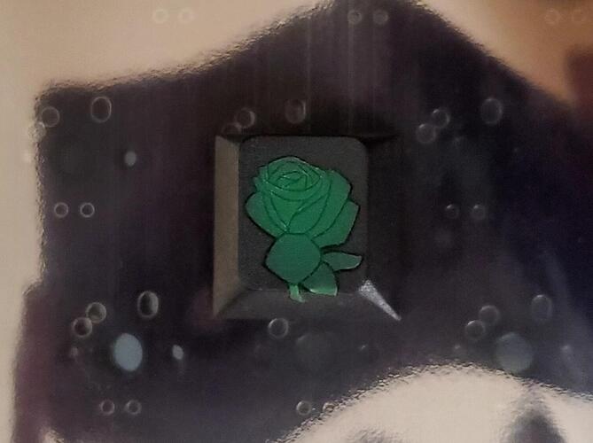 20240718_185607