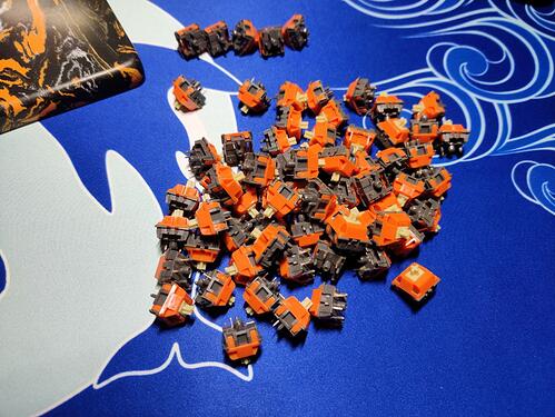 photo_2022-06-15_20-50-21