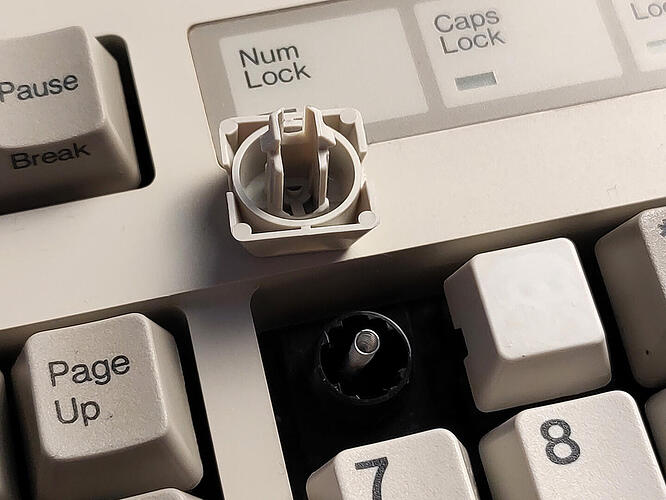 IMG_20221103_125218351