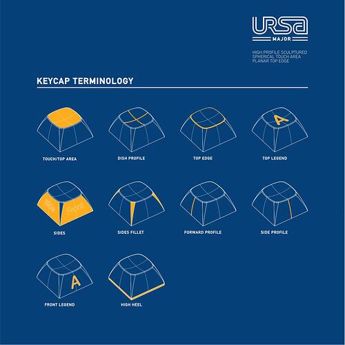 URSA TERMINOLOGY