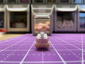 Kinetic Labs Salmon switch