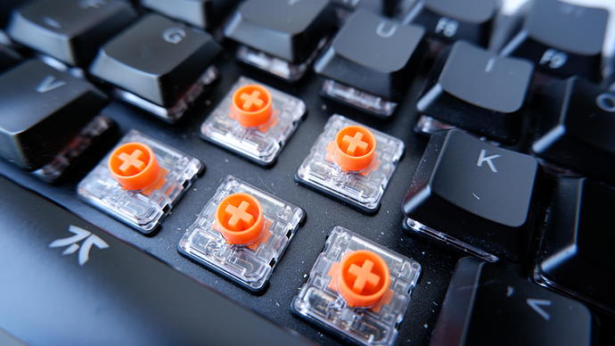 Fnatic Speed Switches