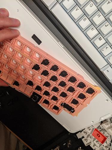 PXL_20211001_022437895