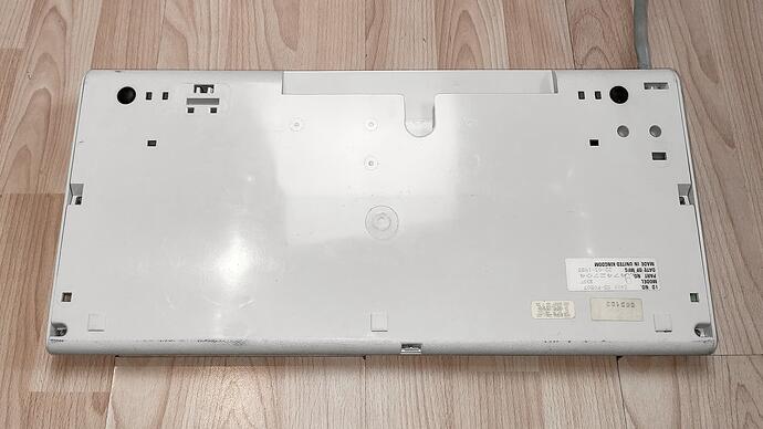 shark_4742704_ibm_bottom