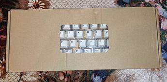 IMG_20211116_194047