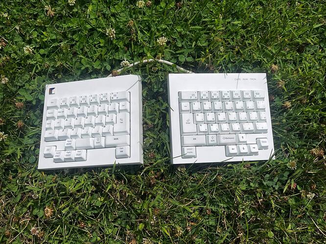 μTRON1