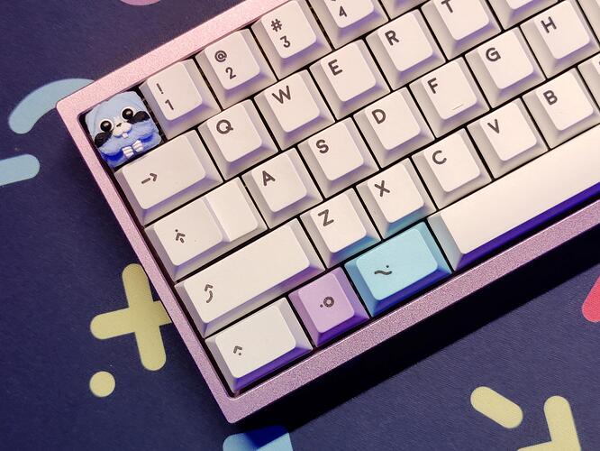 IMG_20220505_182719_230