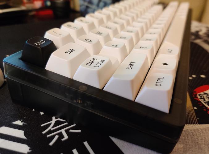 gV-N0jbjwoc