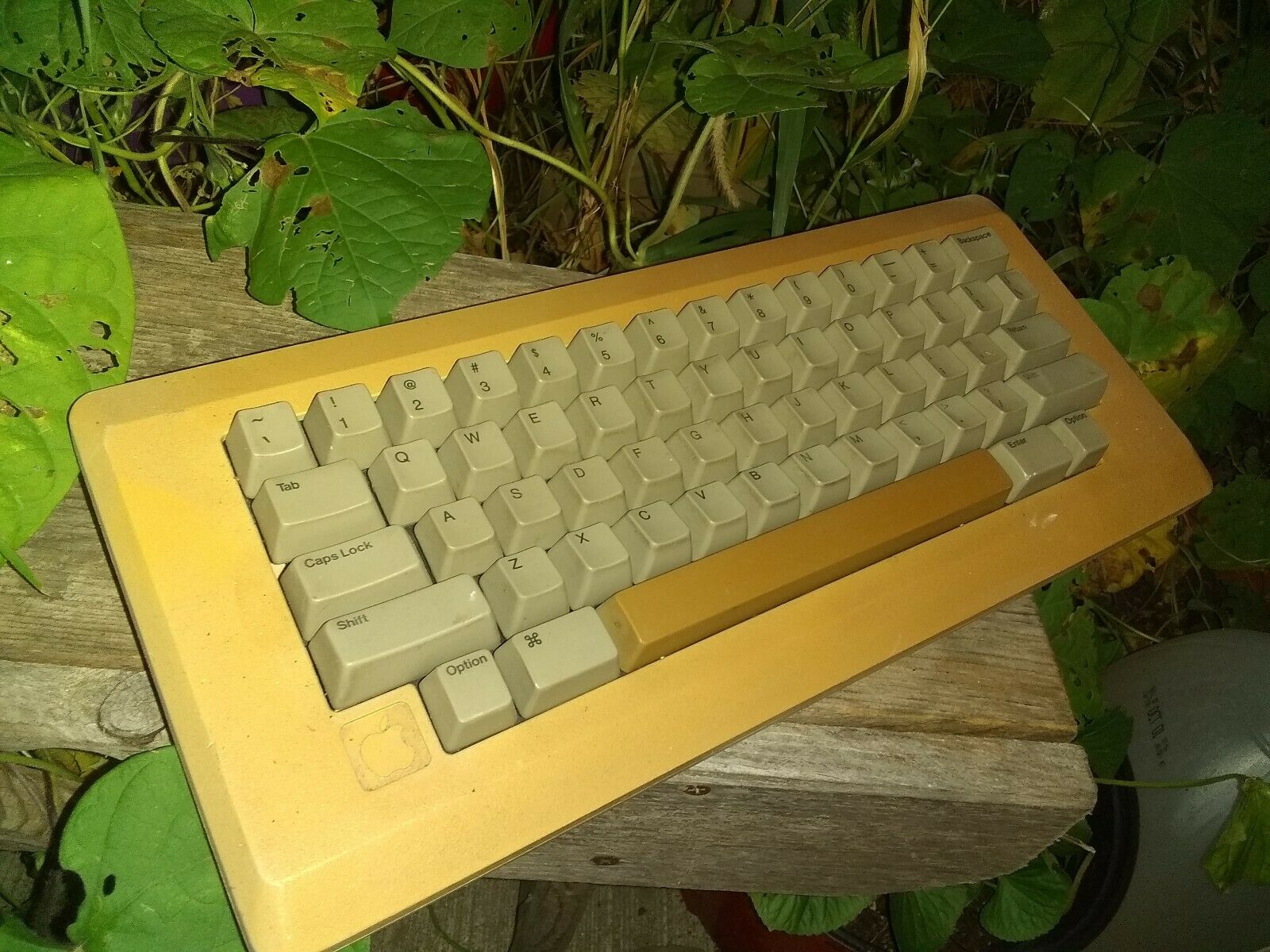 Experiments with the Apple M0110 keyboard - Vintage