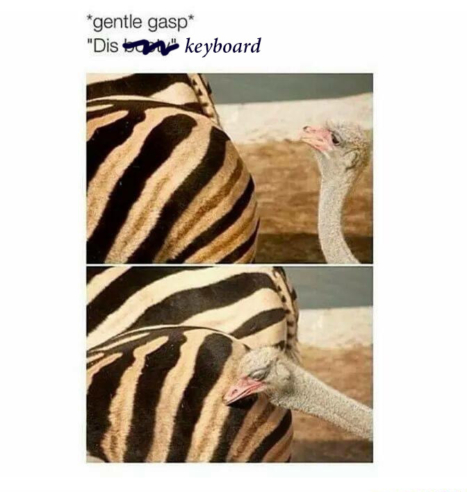 dk