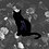 Eigencat