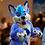 RileyCoyote