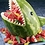 sPaMrAy