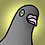squab