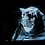 Vogon